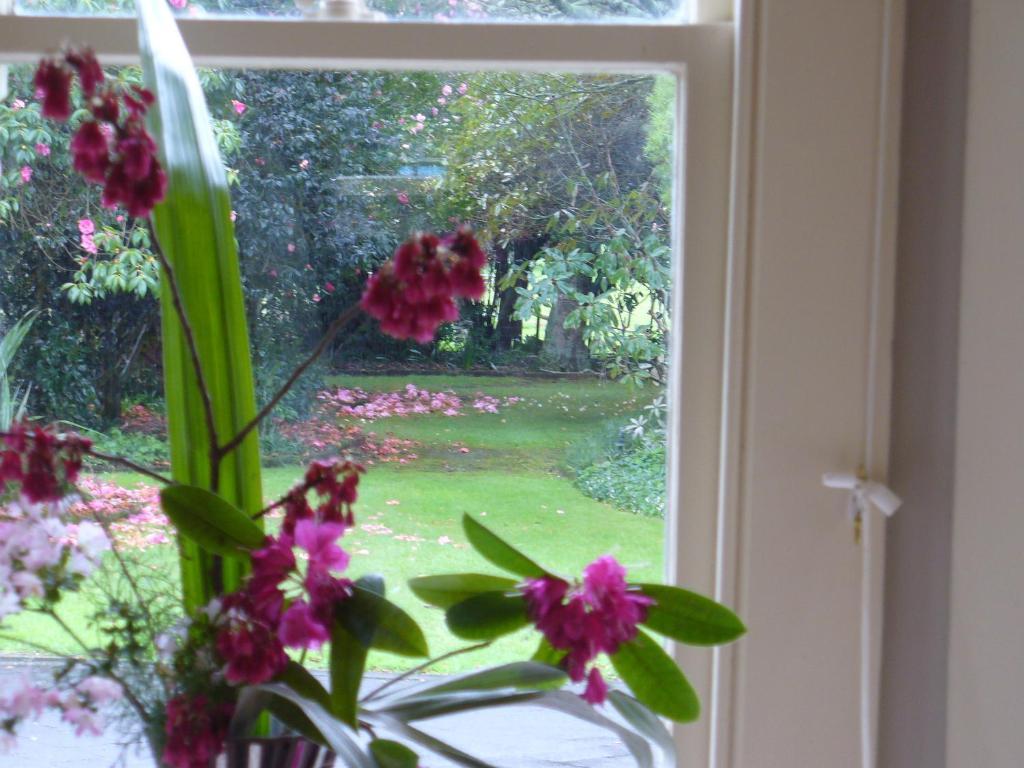 Oak Lane Lodge Hamilton Quarto foto